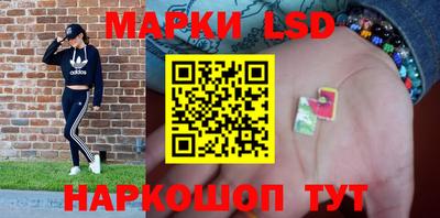 spice Краснодар