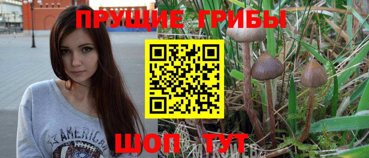 Псилоцибиновые грибы Magic Shrooms  Псилоцибиновые грибы прущие грибы  Топки  Вход с VPN 