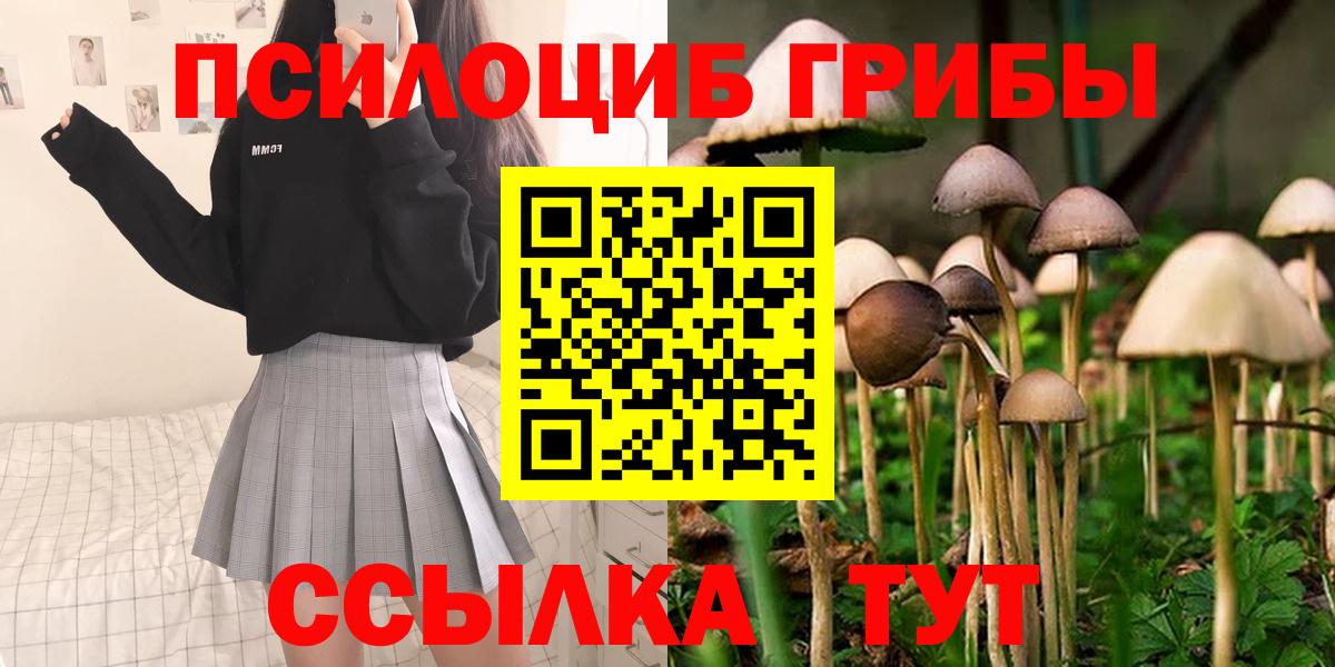 Галлюциногенные грибы мухоморы Топки